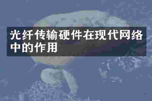 光纤传输硬件在现代网络中的作用