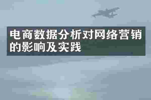 电商数据分析对网络营销的影响及实践