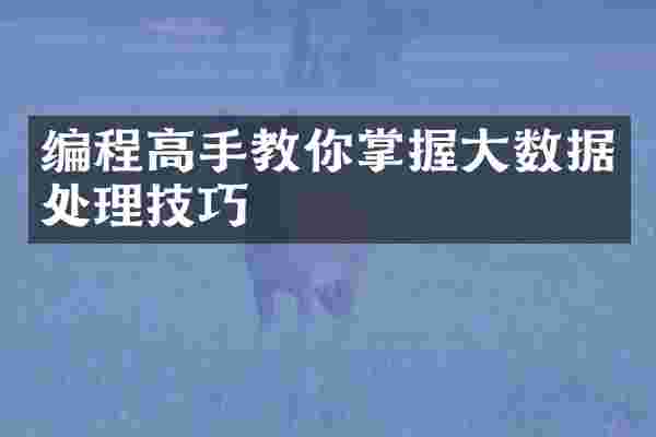 编程高手教你掌握大数据处理技巧