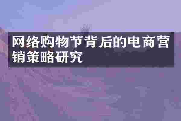 网络购物节背后的电商营销策略研究