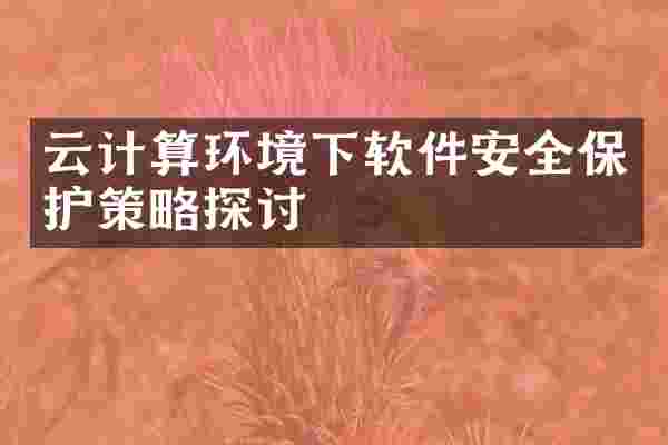 云计算环境下软件安全保护策略探讨