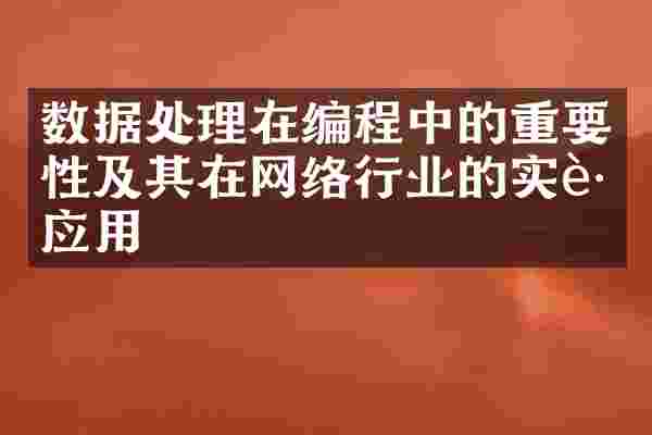 数据处理在编程中的重要性及其在网络行业的实践应用