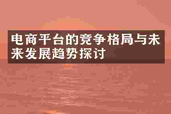 电商平台的竞争格局与未来发展趋势探讨