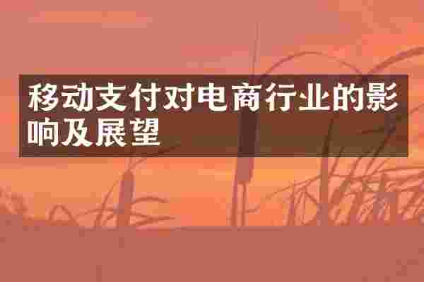 移动支付对电商行业的影响及展望