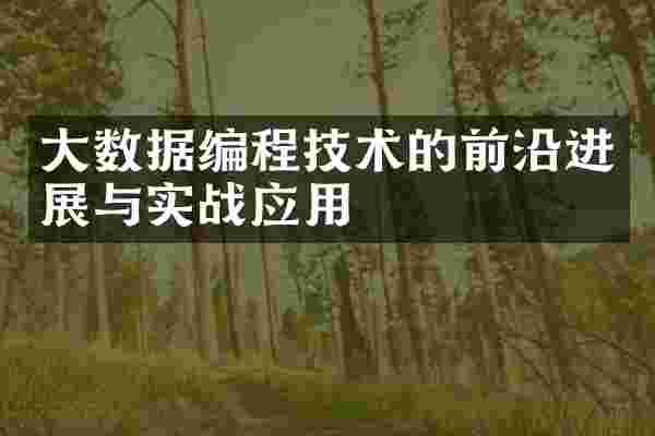 大数据编程技术的前沿进展与实战应用