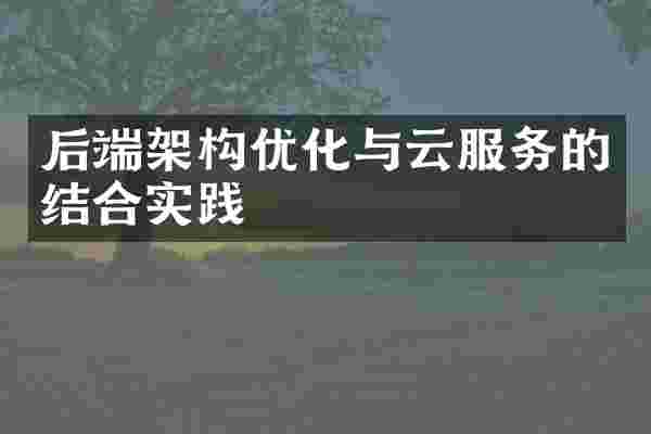 后端架构优化与云服务的结合实践