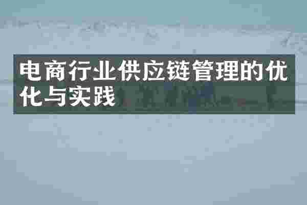 电商行业供应链管理的优化与实践