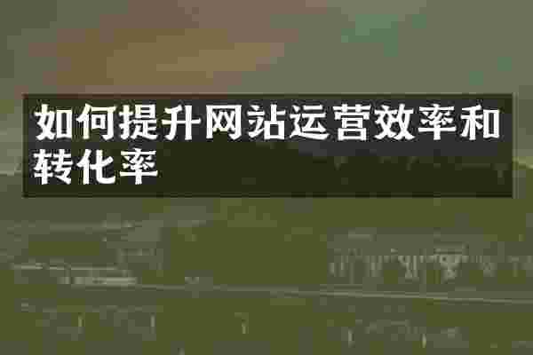 如何提升网站运营效率和转化率