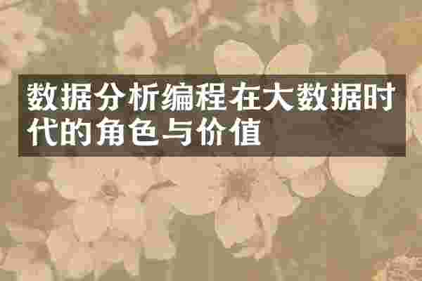 数据分析编程在大数据时代的角色与价值