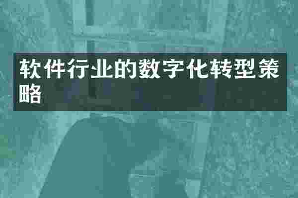 软件行业的数字化转型策略