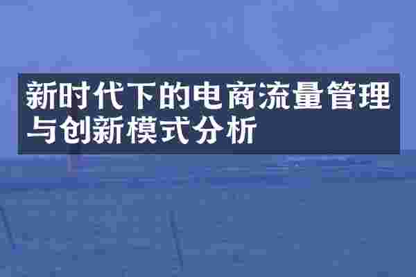新时代下的电商流量管理与创新模式分析