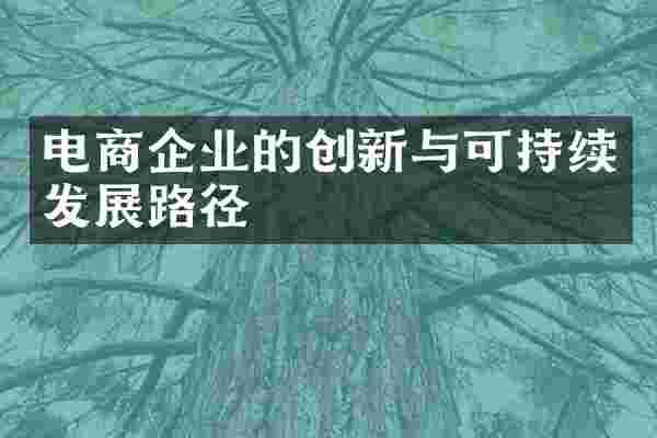 电商企业的创新与可持续发展路径