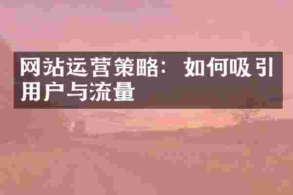 网站运营策略：如何吸引用户与流量