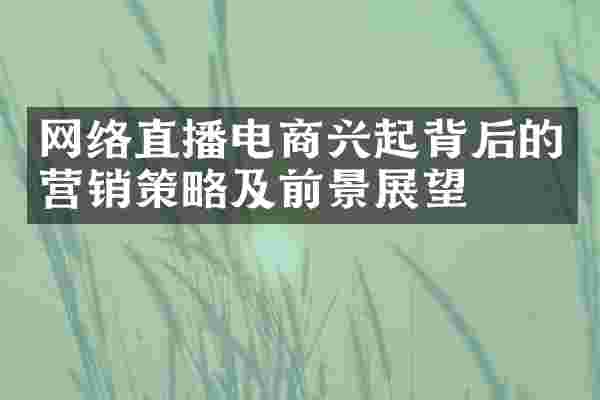 网络直播电商兴起背后的营销策略及前景展望