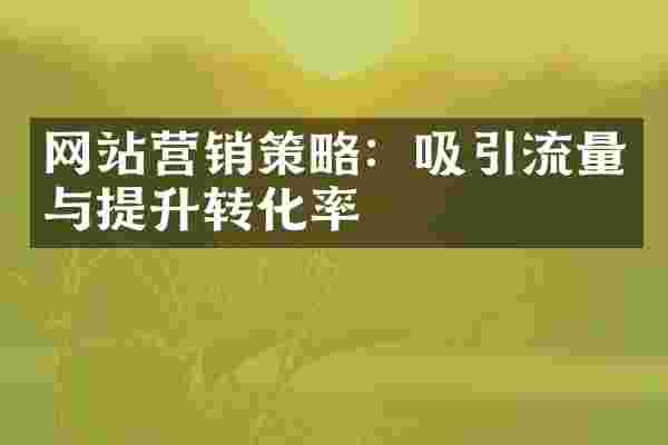 网站营销策略：吸引流量与提升转化率