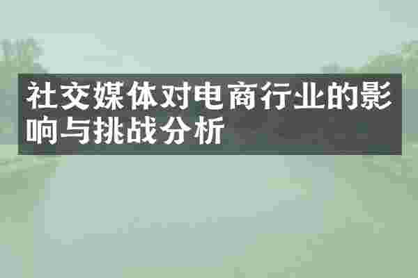 社交媒体对电商行业的影响与挑战分析