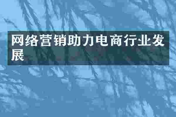 网络营销助力电商行业发展
