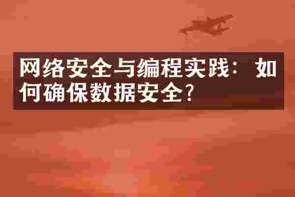 网络安全与编程实践：如何确保数据安全？
