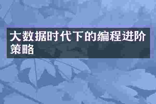 大数据时代下的编程进阶策略