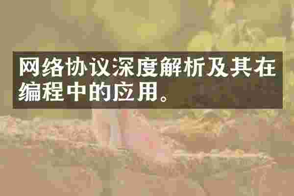 网络协议深度解析及其在编程中的应用。