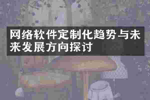 网络软件定制化趋势与未来发展方向探讨