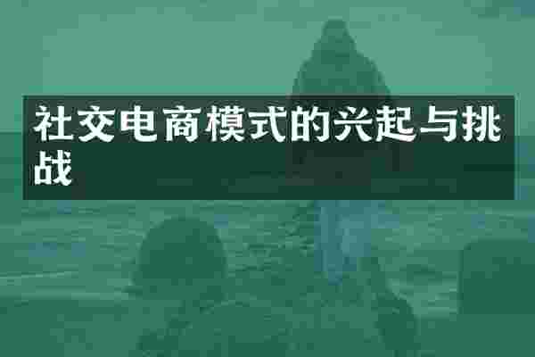 社交电商模式的兴起与挑战