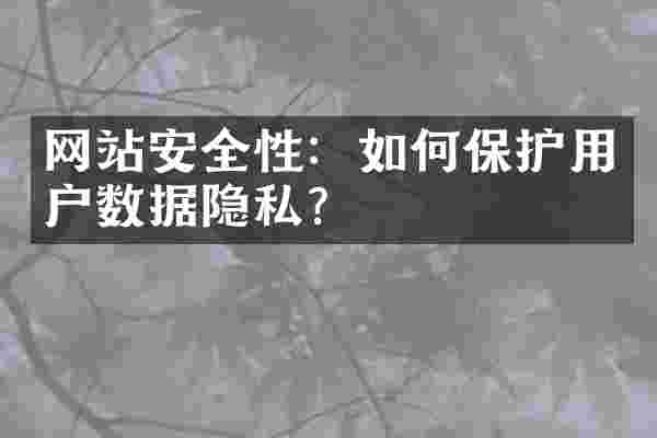 网站安全性：如何保护用户数据隐私？