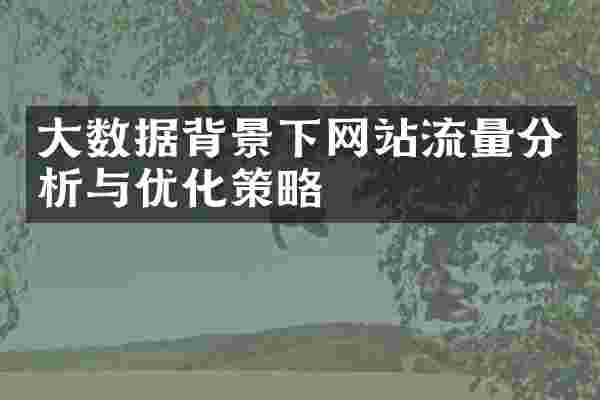 大数据背景下网站流量分析与优化策略
