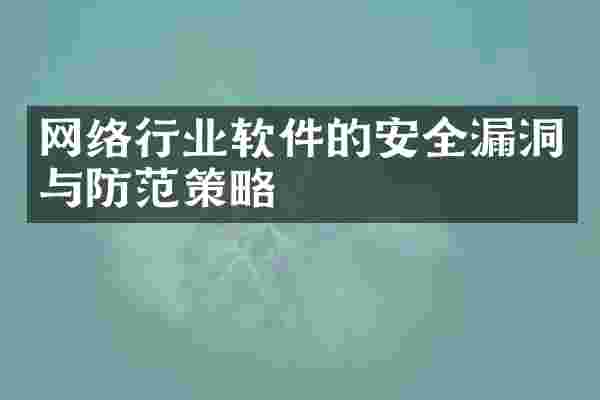 网络行业软件的安全漏洞与防范策略