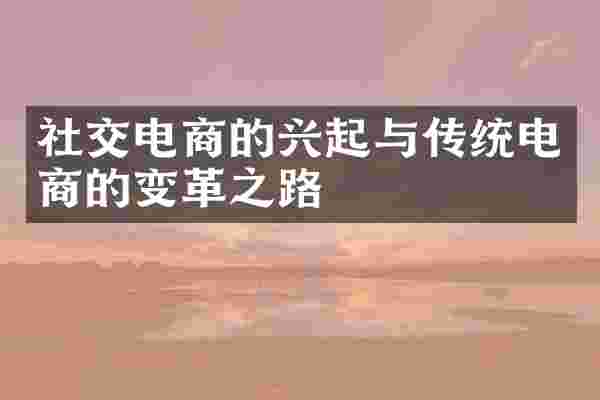 社交电商的兴起与传统电商的变革之路