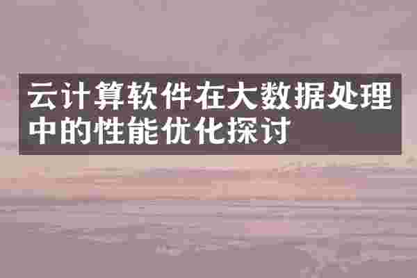 云计算软件在大数据处理中的性能优化探讨