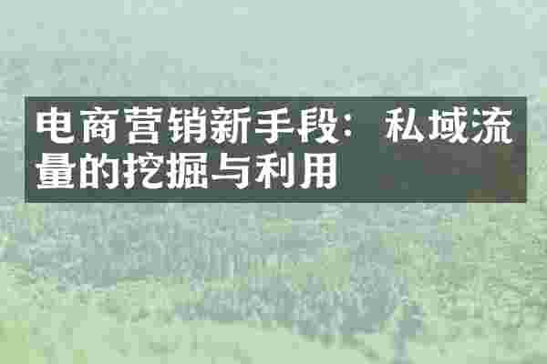 电商营销新手段：私域流量的挖掘与利用