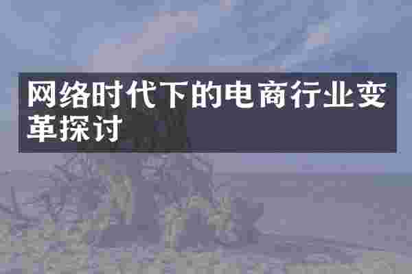 网络时代下的电商行业变革探讨
