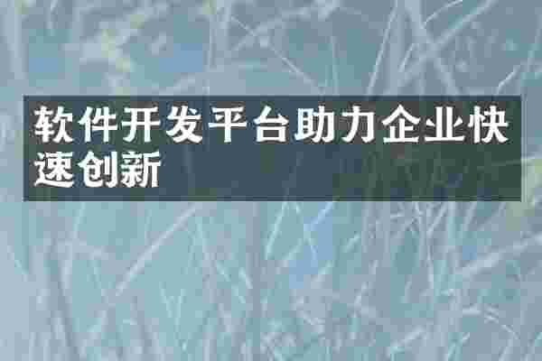 软件开发平台助力企业快速创新
