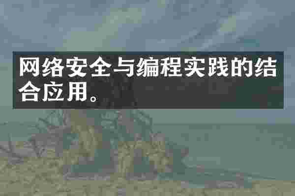 网络安全与编程实践的结合应用。