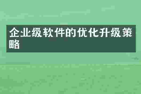 企业级软件的优化升级策略