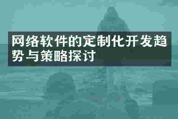 网络软件的定制化开发趋势与策略探讨