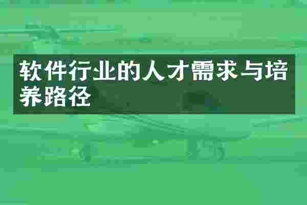 软件行业的人才需求与培养路径