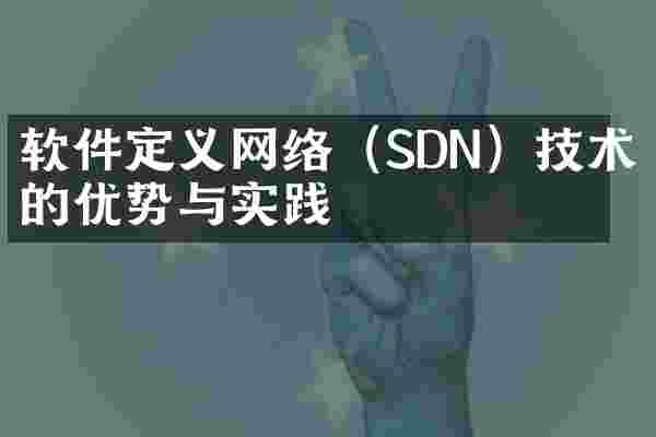 软件定义网络（SDN）技术的优势与实践