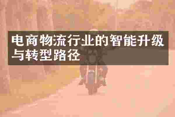 电商物流行业的智能升级与转型路径