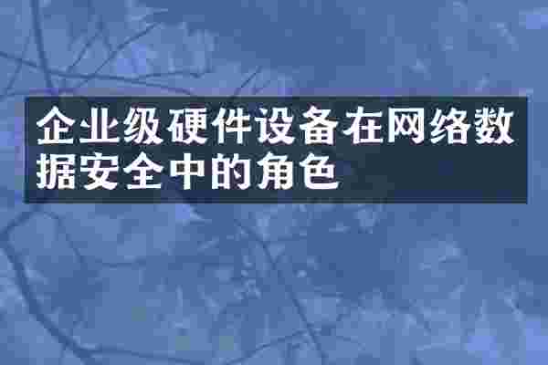 企业级硬件设备在网络数据安全中的角色