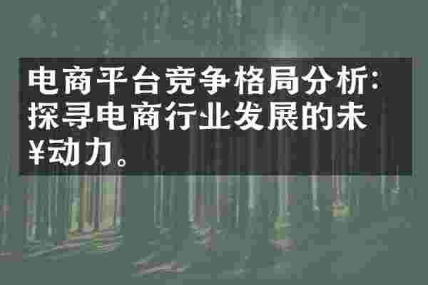 电商平台竞争格局分析：探寻电商行业发展的未来动力。