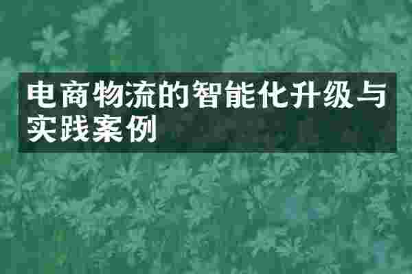 电商物流的智能化升级与实践案例