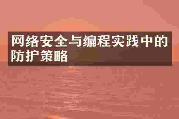 网络安全与编程实践中的防护策略