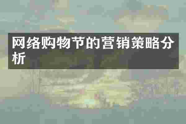 网络购物节的营销策略分析