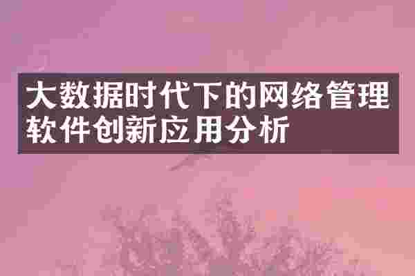 大数据时代下的网络管理软件创新应用分析