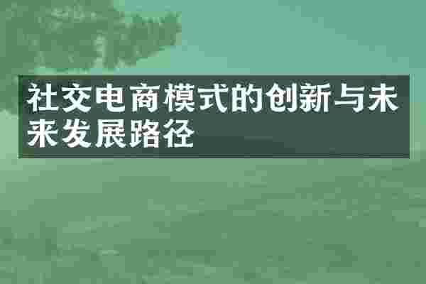 社交电商模式的创新与未来发展路径