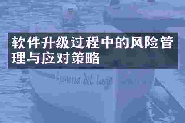 软件升级过程中的风险管理与应对策略