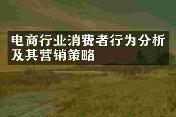 电商行业消费者行为分析及其营销策略
