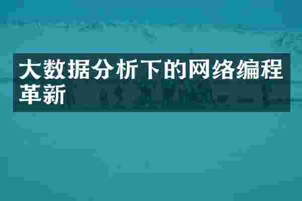 大数据分析下的网络编程革新